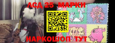 метамфетамин Гатчина