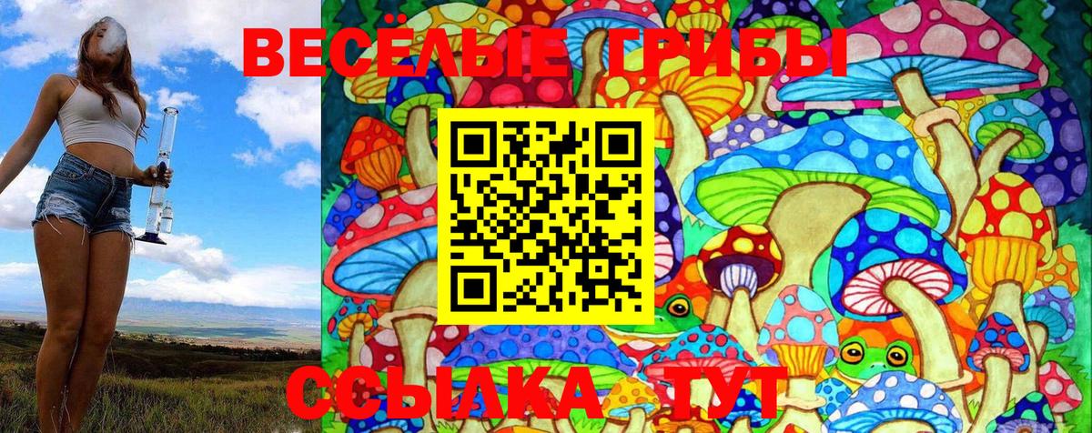 Светлоград  Псилоцибиновые грибы Magic Shrooms  Вход с VPN 