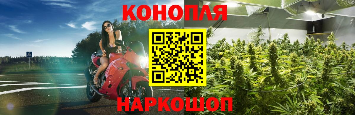 Конопля MAZAR  Бошки Шишки марихуана  МАРИХУАНА VHQ  Светлоград  Каннабис план  Вход с VPN 